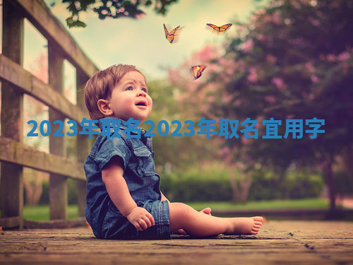 2023年取名 2023年取名宜用字