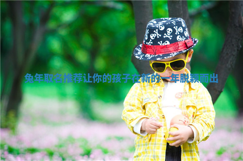 兔年取名推荐让你的孩子在新的一年脱颖而出