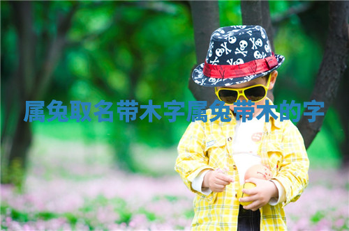 属兔取名带木字 属兔带木的字
