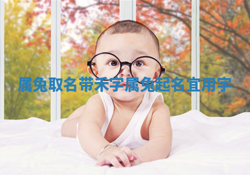 属兔取名带禾字_属兔起名宜用字