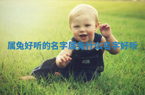 属兔好听的名字_属兔什么名字好听