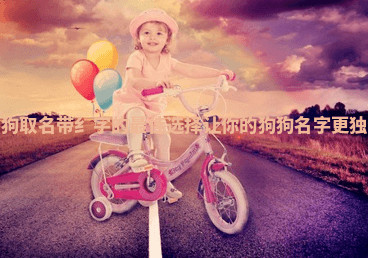 属狗取名带纟字的最佳选择让你的狗狗名字更独特