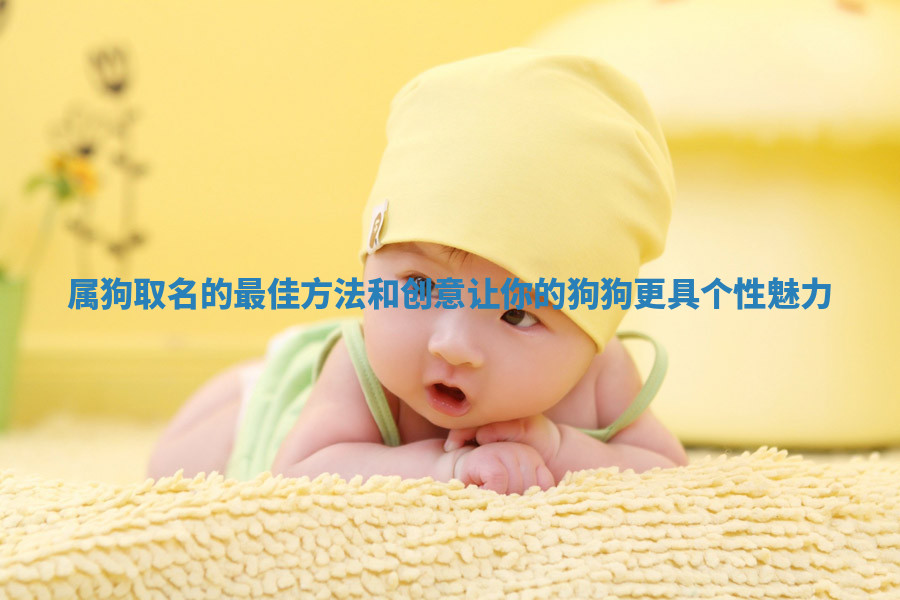 属狗取名的最佳方法和创意让你的狗狗更具个性魅力
