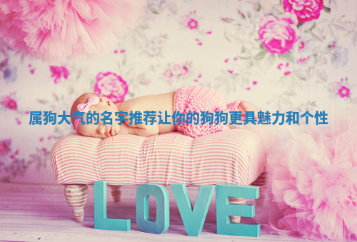 属狗大气的名字推荐让你的狗狗更具魅力和个性