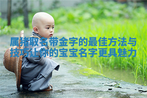 属猪取名带金字的最佳方法与技巧让你的宝宝名字更具魅力