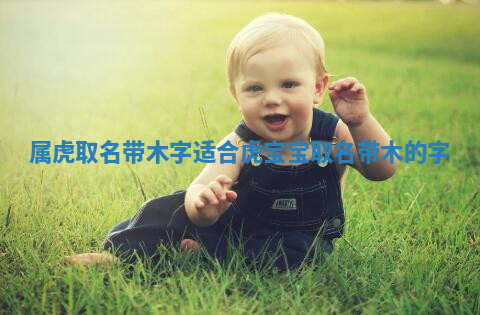 属虎取名带木字 适合虎宝宝取名带木的字