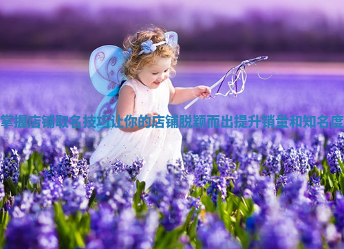 掌握店铺取名技巧让你的店铺脱颖而出提升销量和知名度