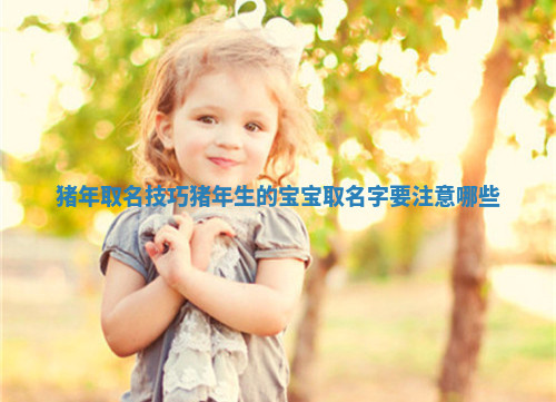 猪年取名技巧_猪年生的宝宝取名字要注意哪些