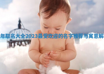 虎年取名大全2023最受欢迎的名字推荐与寓意解析