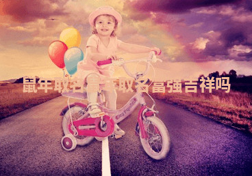 鼠年取名 鼠年取名富强吉祥吗